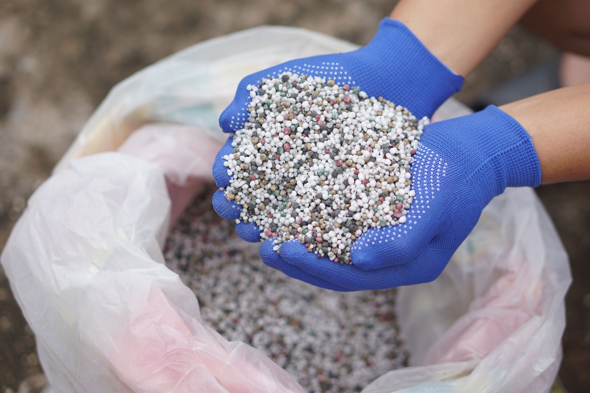 Close up hands hold mixed chemical fertilizer. Concept; chemical fertilizer production use in agriculture consists of basic nutrients which are Nitrogen (AND), Phosphate (P2O5) and Potassium (K2O).